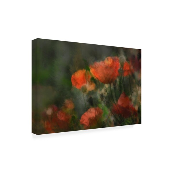 Gilbert Claes 'Pops Floral Romance' Canvas Art,16x24